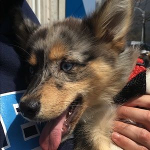 Meet your Posher, James